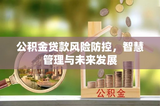 鄢陵公积金贷款风险防控，智慧管理与未来发展