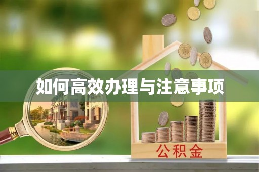 鄢陵如何高效办理与注意事项