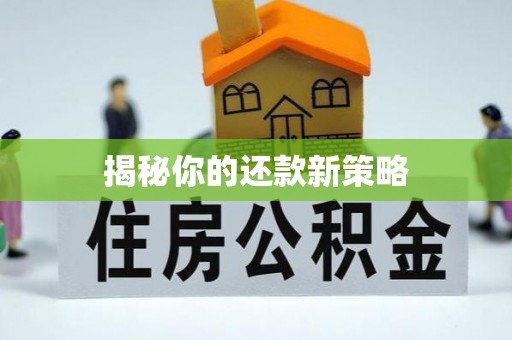 鄢陵揭秘你的还款新策略