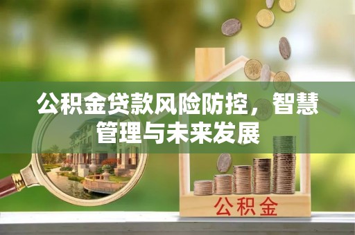 鄢陵公积金贷款风险防控，智慧管理与未来发展