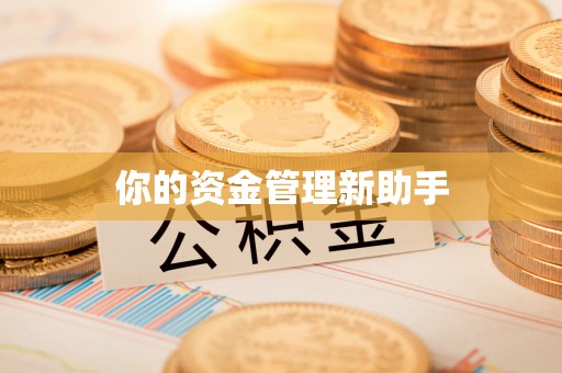 鄢陵你的资金管理新助手