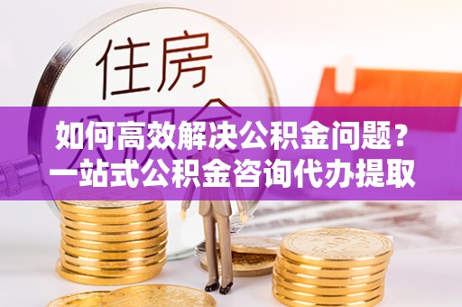鄢陵如何高效解决公积金问题？一站式公积金咨询代办提取服务全解析