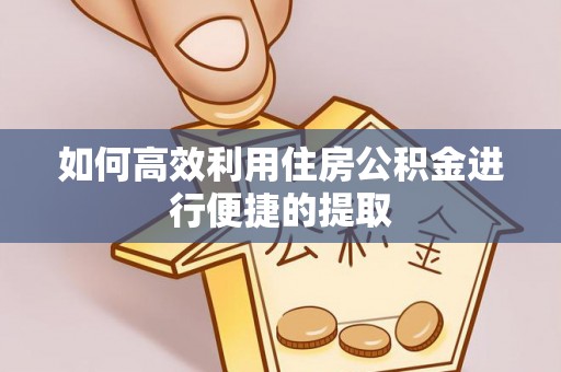 鄢陵如何高效利用住房公积金进行便捷的提取