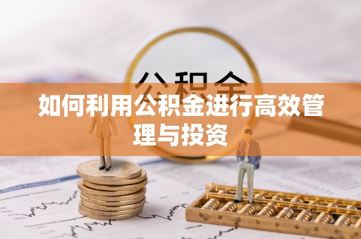 鄢陵如何利用公积金进行高效管理与投资