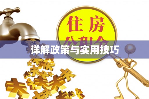 鄢陵详解政策与实用技巧