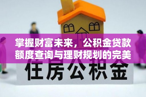 鄢陵掌握财富未来，公积金贷款额度查询与理财规划的完美结合